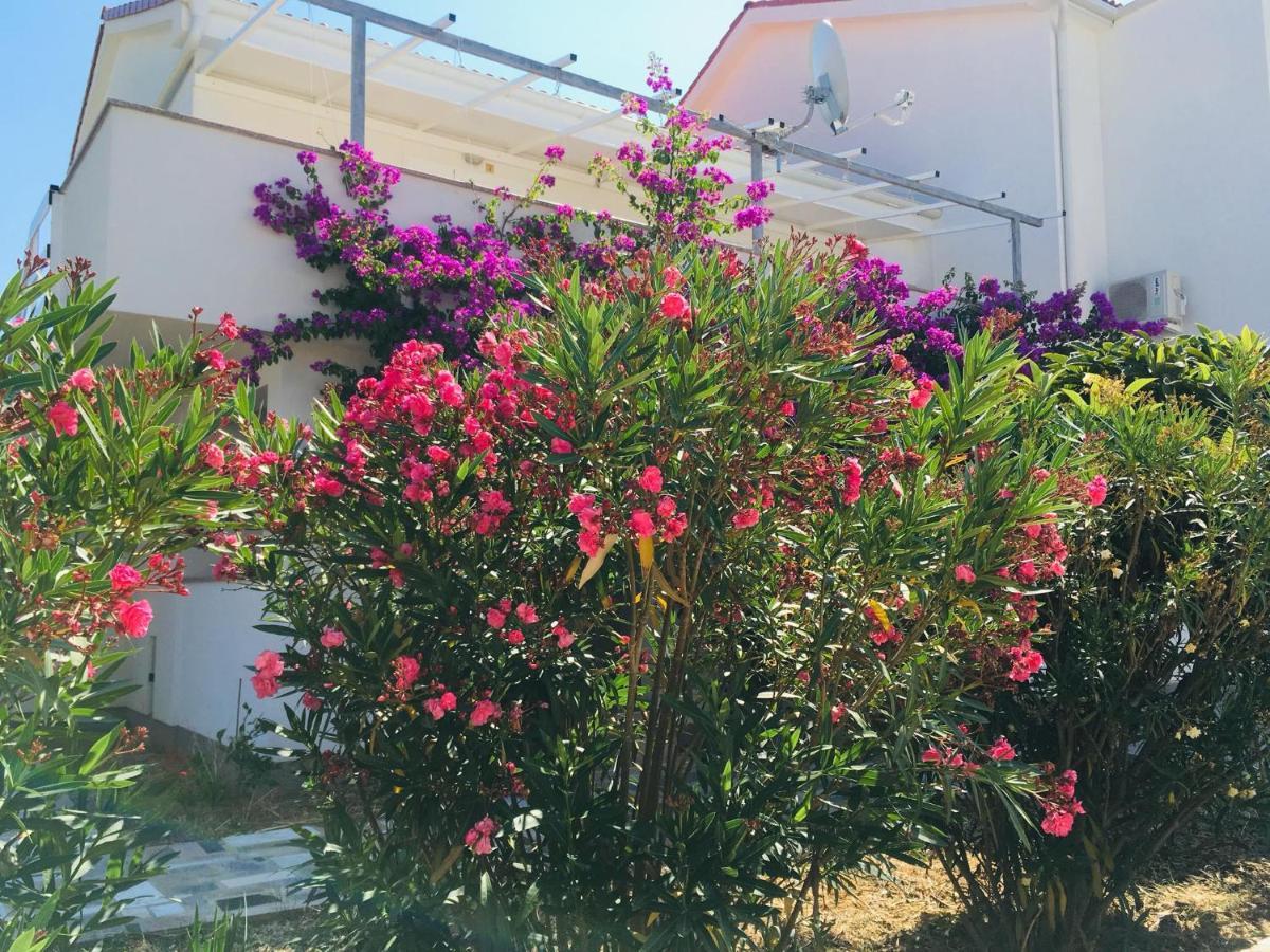Novalja Apartments By Nena מראה חיצוני תמונה