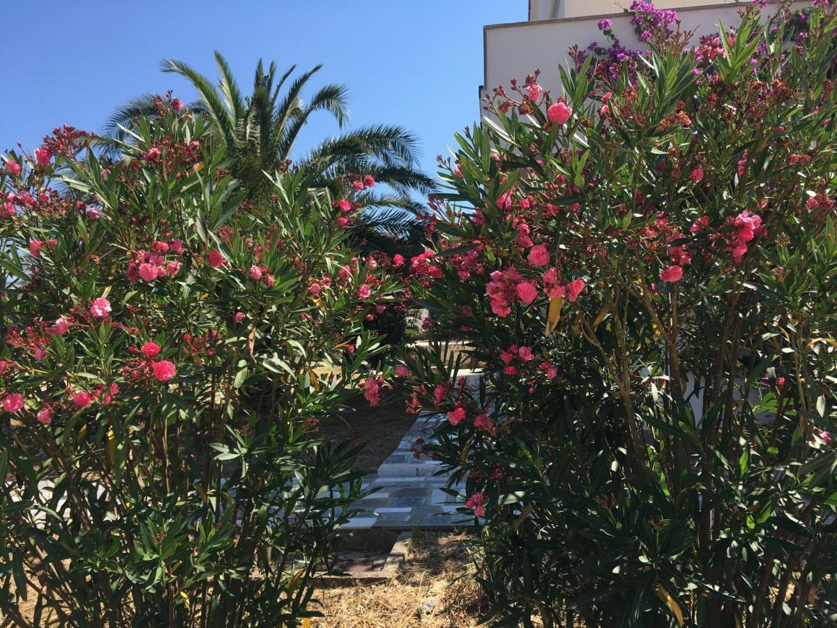 Novalja Apartments By Nena מראה חיצוני תמונה