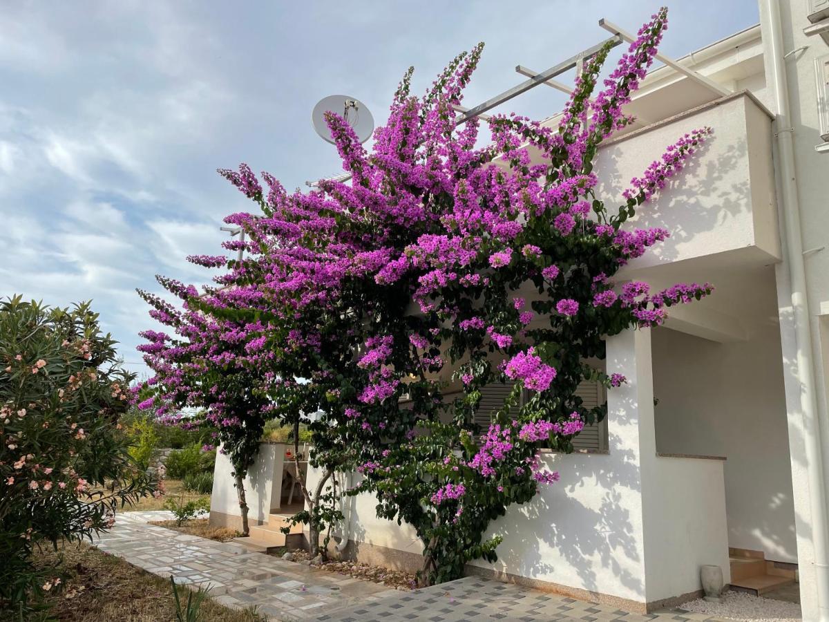 Novalja Apartments By Nena מראה חיצוני תמונה