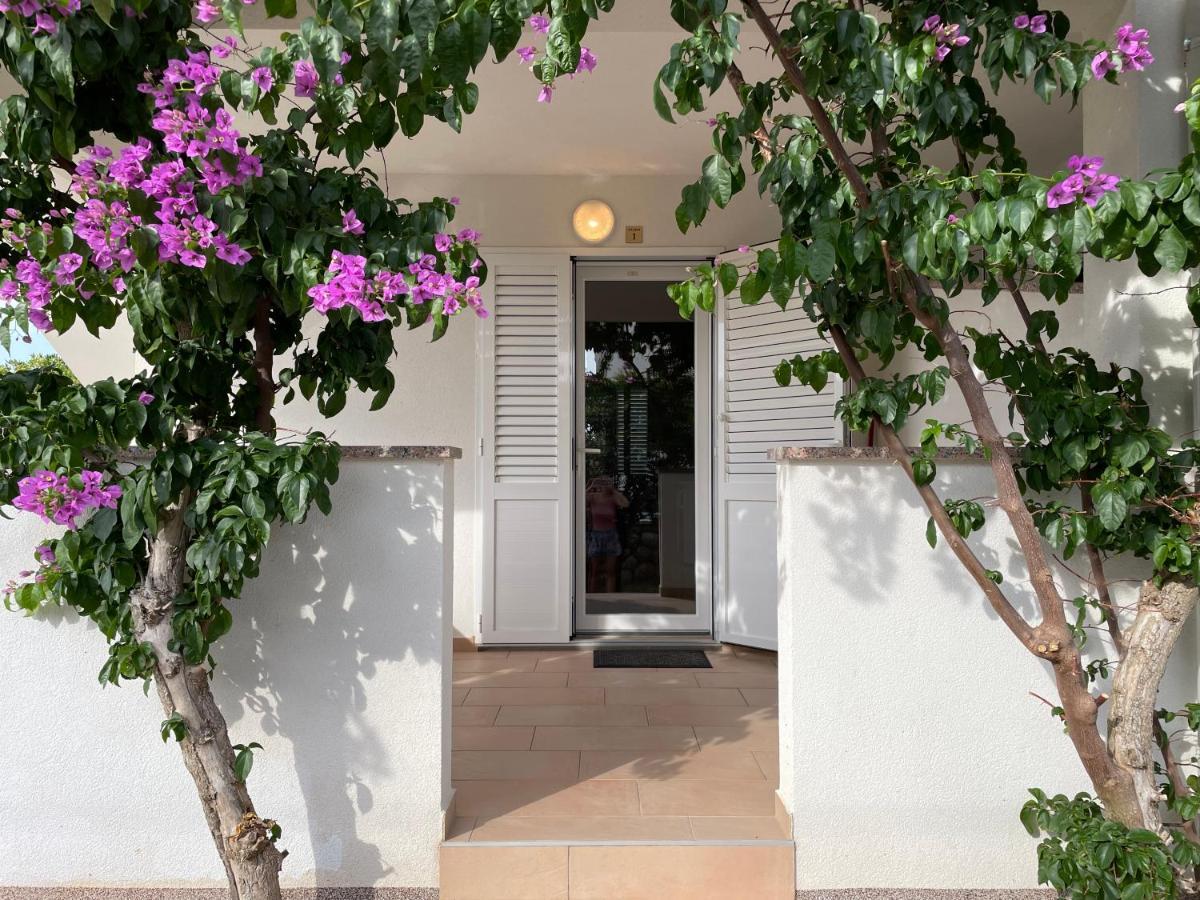 Novalja Apartments By Nena מראה חיצוני תמונה